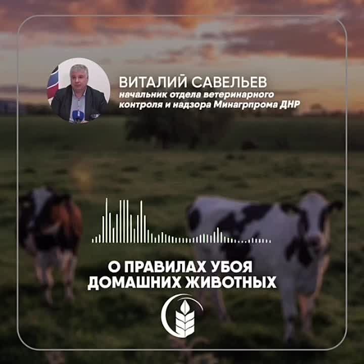 ��������� ������ ������������� �������� � ������� ����������� ��� ������� �������� ��������� � �������� ���� �������� �� ���������� ���, �������� �������������� �������������� ��� �� 04.04.2024 � 36-7