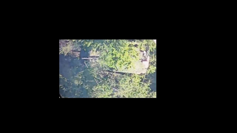 ��� ������: ������������ ������, ���������� �����������