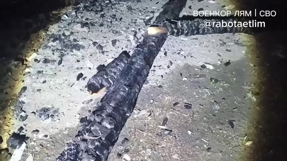 ������ �����: ����������� �������� ��������