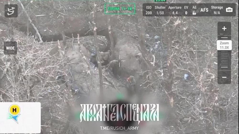 ����� �����: ���������� �� ����� ���: