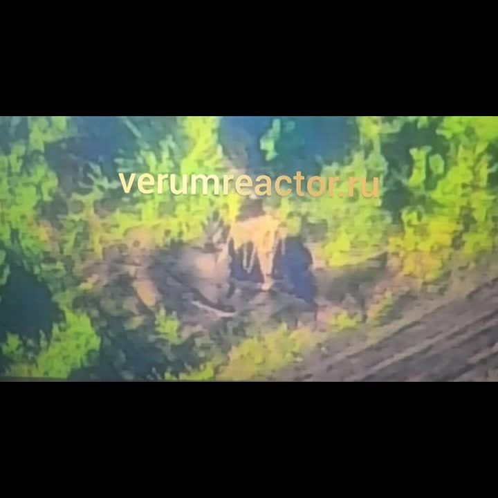 17 ���������� ���������� ��������� �777 ����������� � ������ ������� � ����� ���