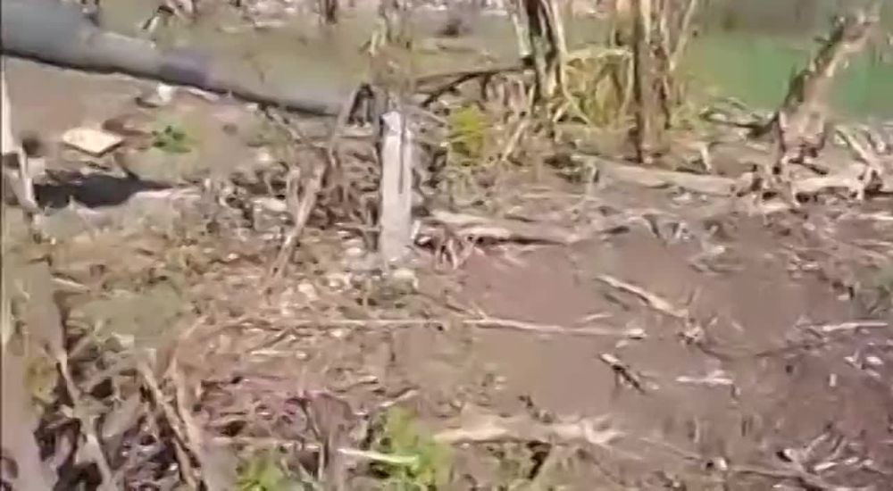 ������ �������: ��� ���� ������� ��������� �� ���������� �����������