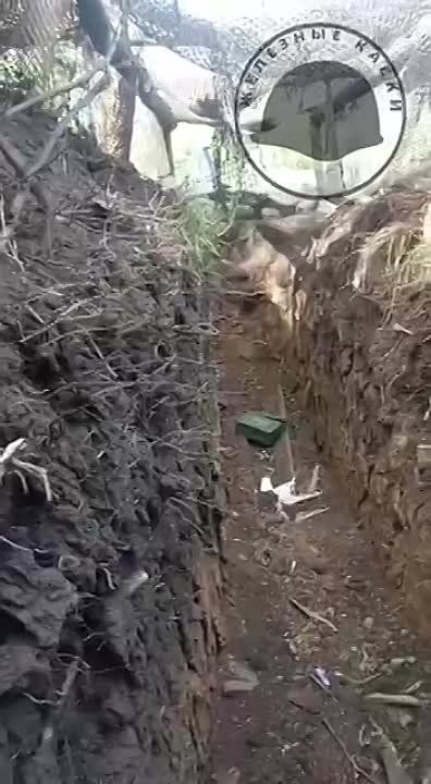 ��������� �������: ���� ����� ������ ������� ������ �� ���������� �����������