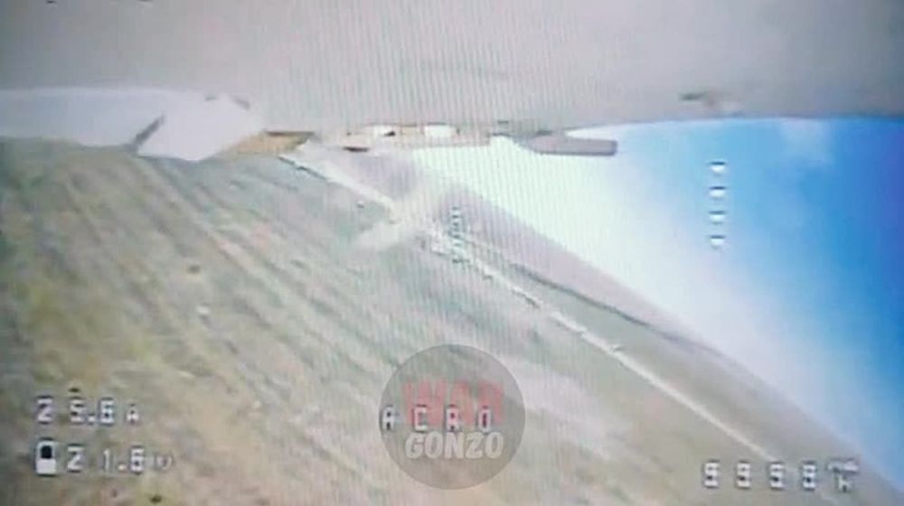 WarGonzo: �������������� ��� ���������� �������� ���
