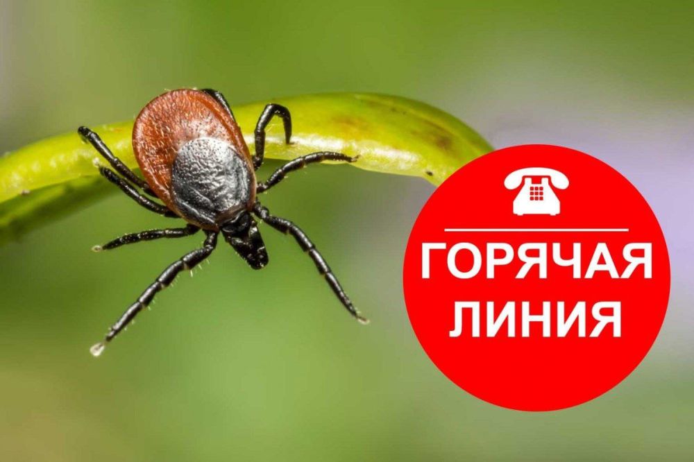 ������� �������: ���������� ���������������� �� �������� �������� ���������� ���������� � ���, ��� � 30 ������ �� 13 ��� 2024 ���� ���������� �������� ������ �� ������������ ��������� ���������� � ��������, ������������ �������