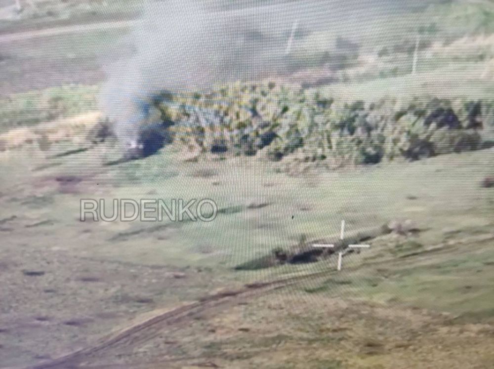 ������ �������: ������� ����� �� ���������� ����������� 41 ����������� ������ ���� ������� ���������� ����������