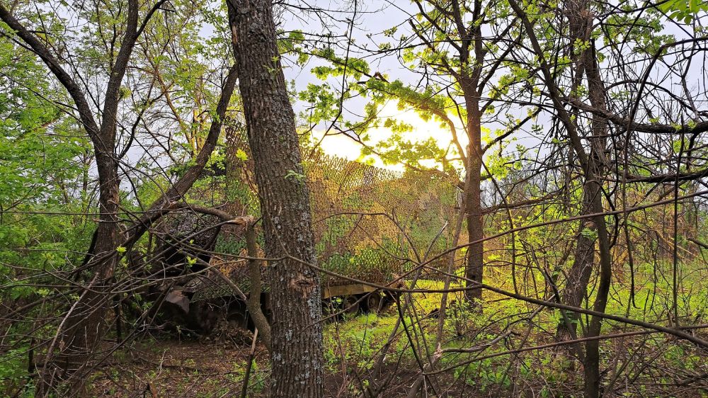 ������� ���������: ��������� ����-� ���� �����, ����������� ����������� �� �������� �����������