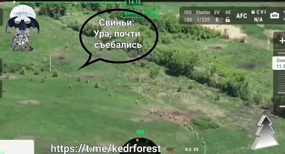 ���� �������������, ���������� �����������