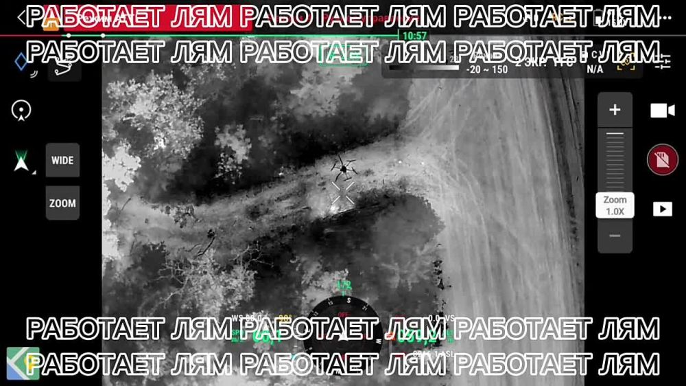 ������ �����: ��c�����. ����������� ������� ���� "���� ���" �� ���������� �����������