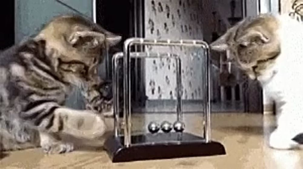������ ������� ������� �������