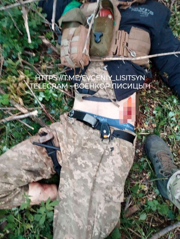 ������� �������: ���������. ����� �� ��� ������������