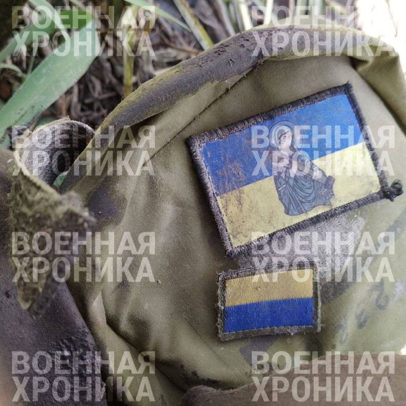 ������ ����������: �� ������� ������ ����� ������� � ��������� � ����������� ���� ��� ������ ������������������� � ���������� ��������� ������� �������� � ����������� �� ������