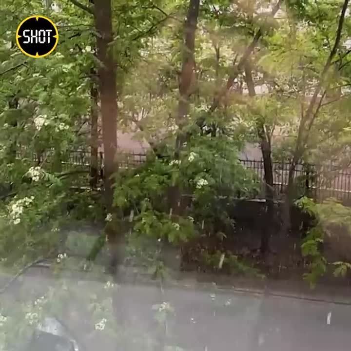 ������ ������� ���� �� ������