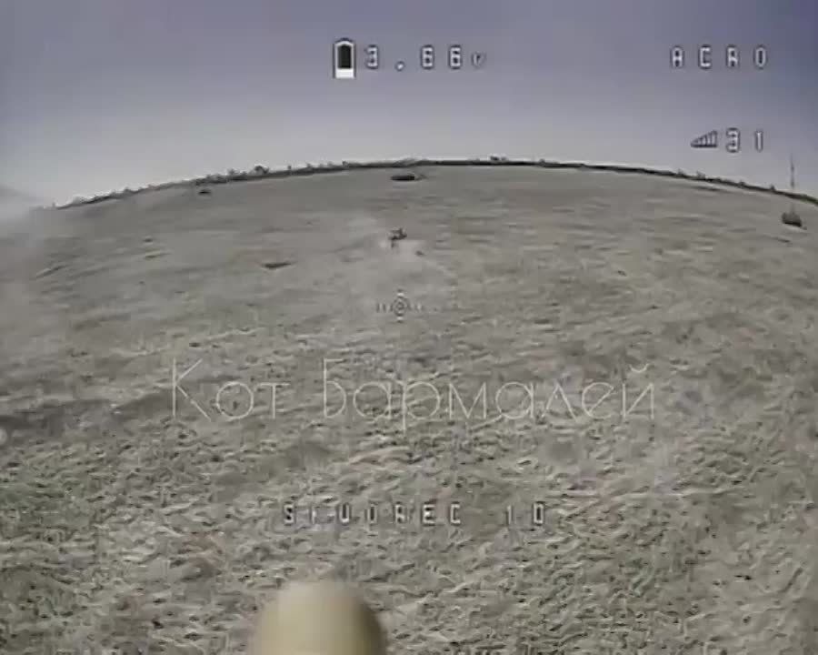 ������� ����������� "�������" ��������� ���� �������� ������� � ���� �� ���������