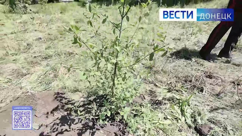 10 ����������� ������ �������� ������ ������� ��. ��������� ����������