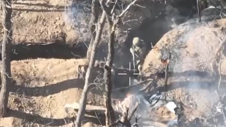 ������� ������� �� ������������� ����������, ���������� ������ ���