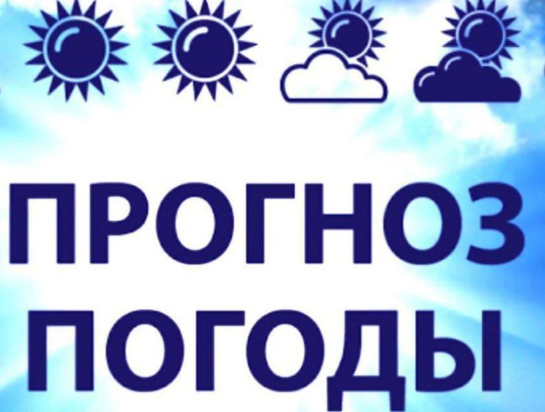 �� ������ ����������� ���� ����� �� ��л, 08 ��� �� ���������� �������� �������� ����������, ����� ������-��������� �������, ��������� ������� ��������������� (4 �����)