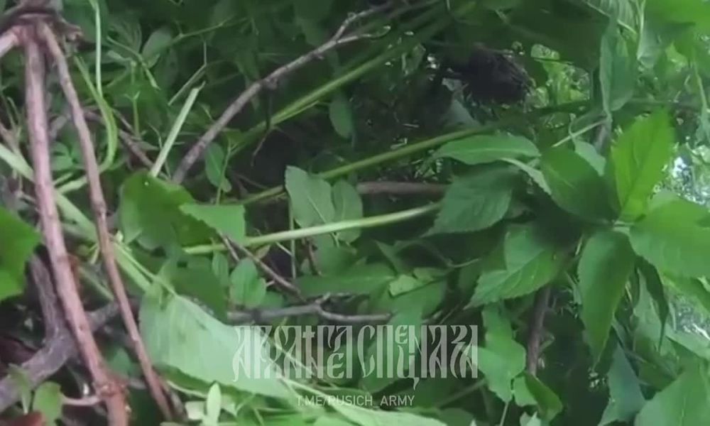 ���������� �� ����������� ����� ��