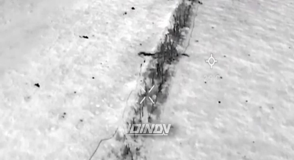 ������� �������: ����������� ���� ���������� ��������� ������� �������� ����� �� ������ ���������� � ������ ��������