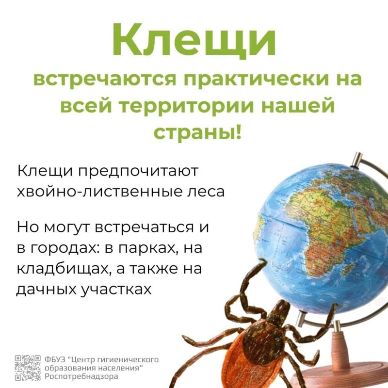 Василий Ткачук: Клещевой вирусный энцефалит (КВЭ) – острое инфекционное вирусное заболевание, с преимущественным поражением центральной нервной системы