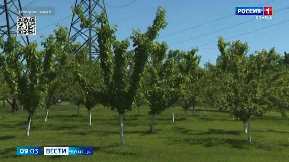 ������������ ������ �������� ���������� ����� � �������