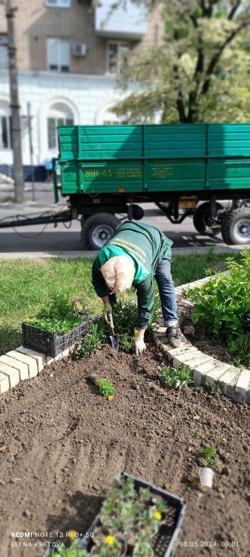 Василий Ткачук: Сегодня сотрудники МУП АГД "ЗЕЛЕНСТРОЙ КАЛИНИНСКОГО РАЙОНА" высадили гецания - 1000 шт. тагетис - 700 шт. Калининском районе г.Донецка