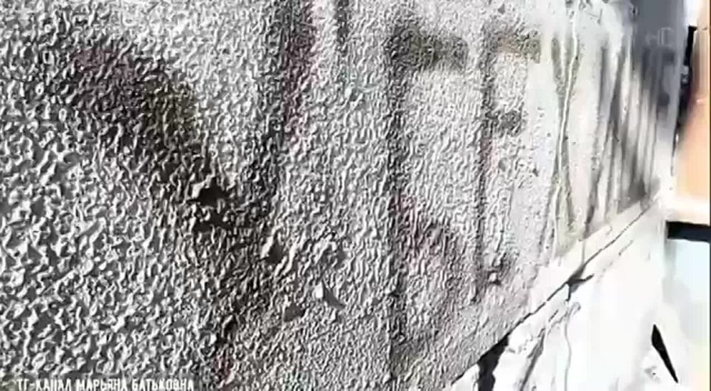 ������� �������: ���������. ��������� ����� ����: