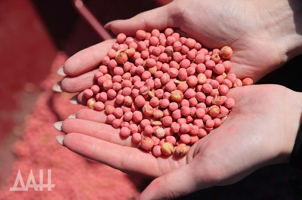 ������� ��� ������ �������� ���� ������ �������