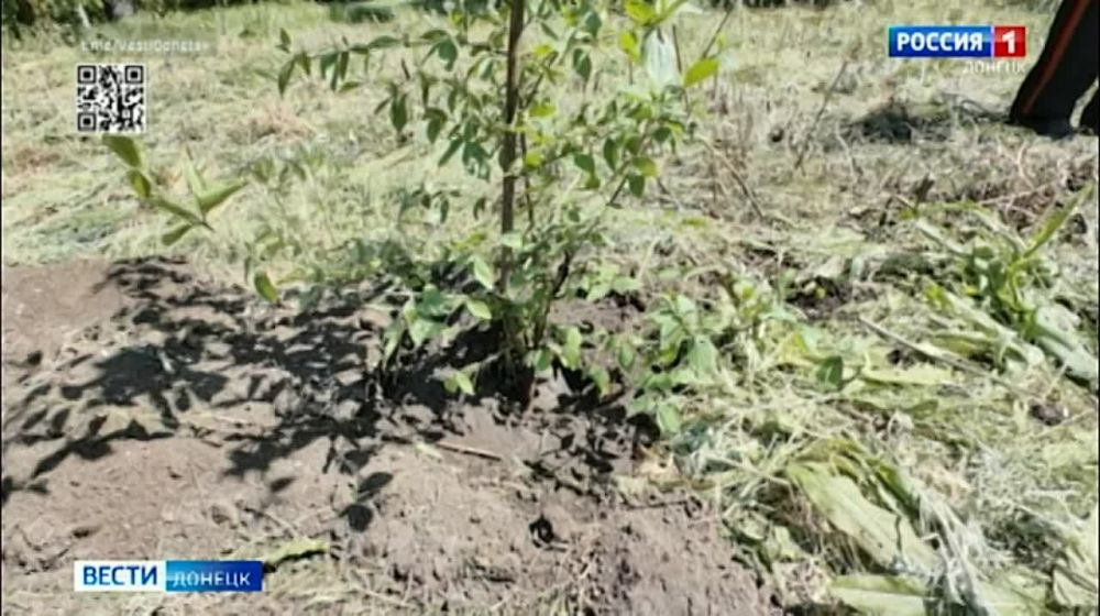 ������ ��������� ������� ����� ���������� ���������� �������� ������� � ������ � ������ �������� � ���� ������