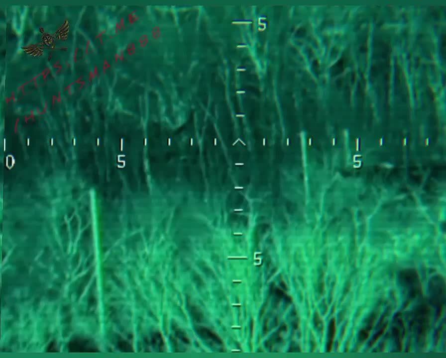 �������� ��������� ���������� ����� ��� ���������