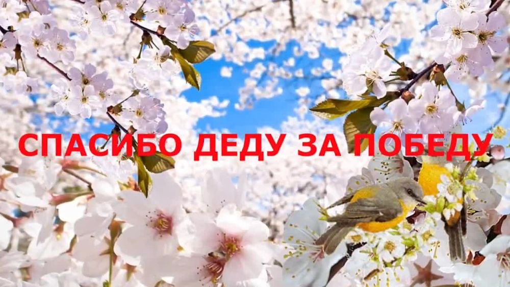 ������-����� �������� ���� �� ������