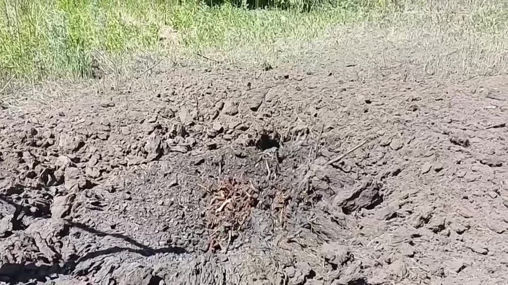 ������ �������: ������ ���������� ������� ������� �� ������ �������� ����������� �������� ����������� ������ ������