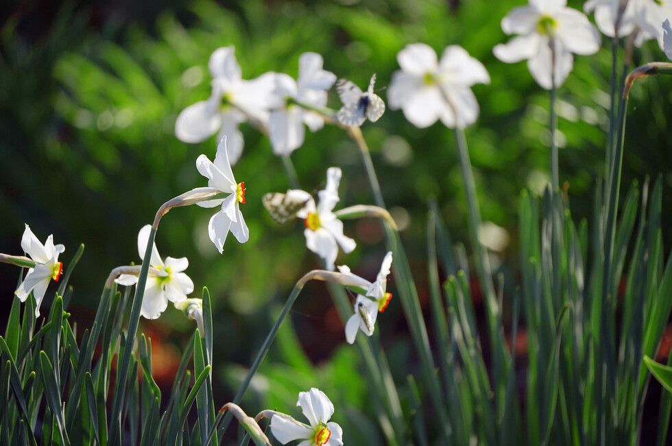 �������� �������� �������� �������, 11 ���