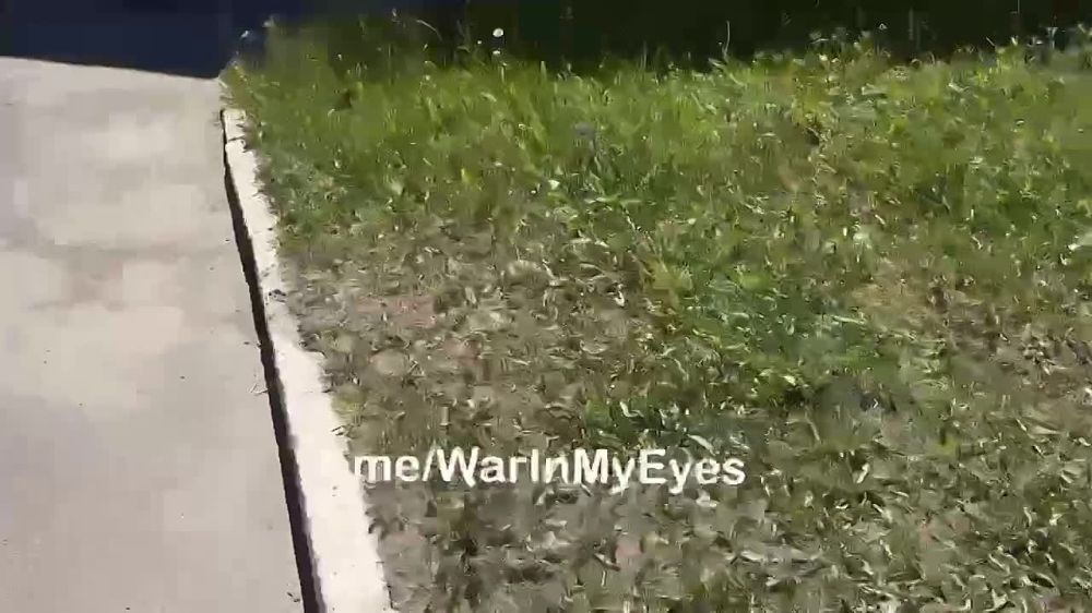 ���� ����� ���� �� ���������� ������ ������� �� ����