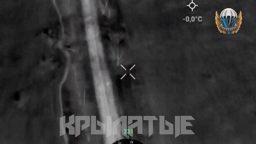 ����� �����: ����������� �����������