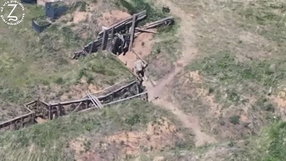 Борис Рожин: Иксоводы группы Рубина отработали по вражескому расчету FPV на Авдеевском направлении