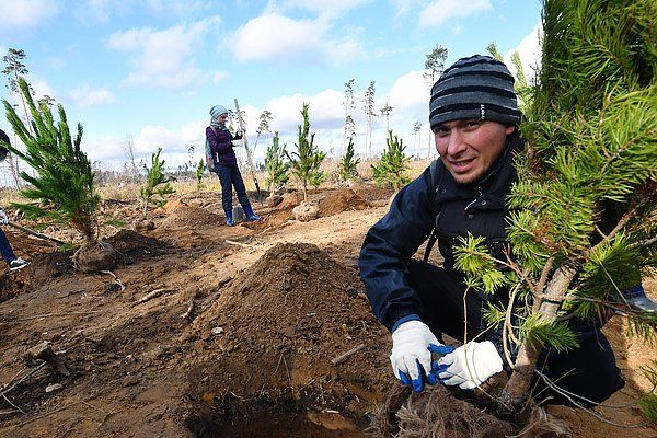 11 ���: ����� �������� ������� �������� � ������ � ����