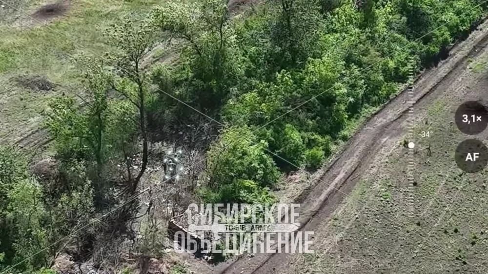 #���������. �������� fpv ����� ���������� ����������� ������� ��������� � �������