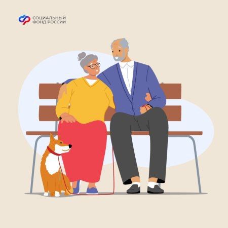 ��� �������� ������ ��� ���������� 80 ���