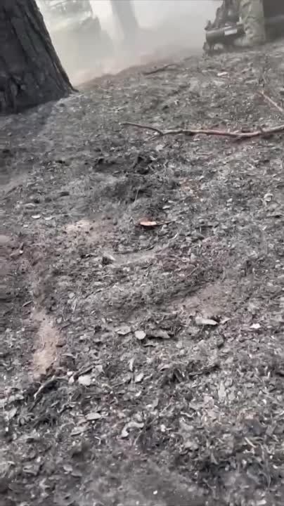 ������ ��������: ���� ������ 404 ���� ������� ������ �� ������� � �������, � ����� ������� "������������" ������� ����������