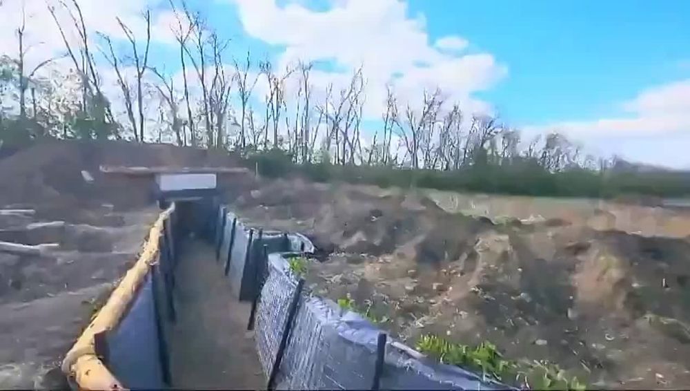 ���� ��������� ������������� ����� � ����������� �������