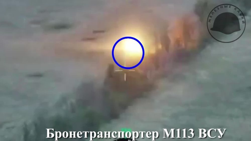 ������ ��� ��������� ��� �113 �� ����������� �����������