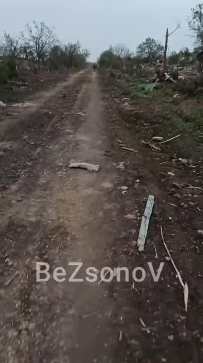 ������ ��������: #���������. 25 ������, ���������, ����� ������. ���� � �������� ���� (�������� ������� ��������� � 2014-��)