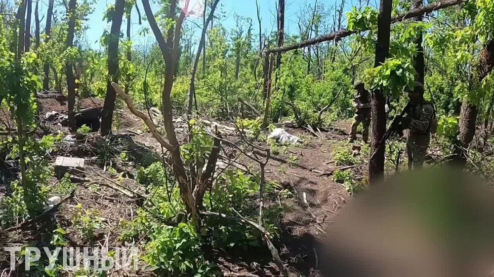 �������� �������: ����� �� ������� ����. ���������� �����������. ���������� ����������� ������ �������� ������� ����������