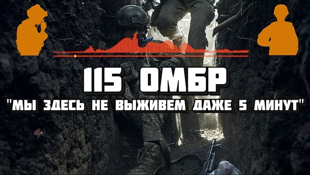 "�� ����� �� ������� ���� 5 �����" � ������ 115 ������� ���