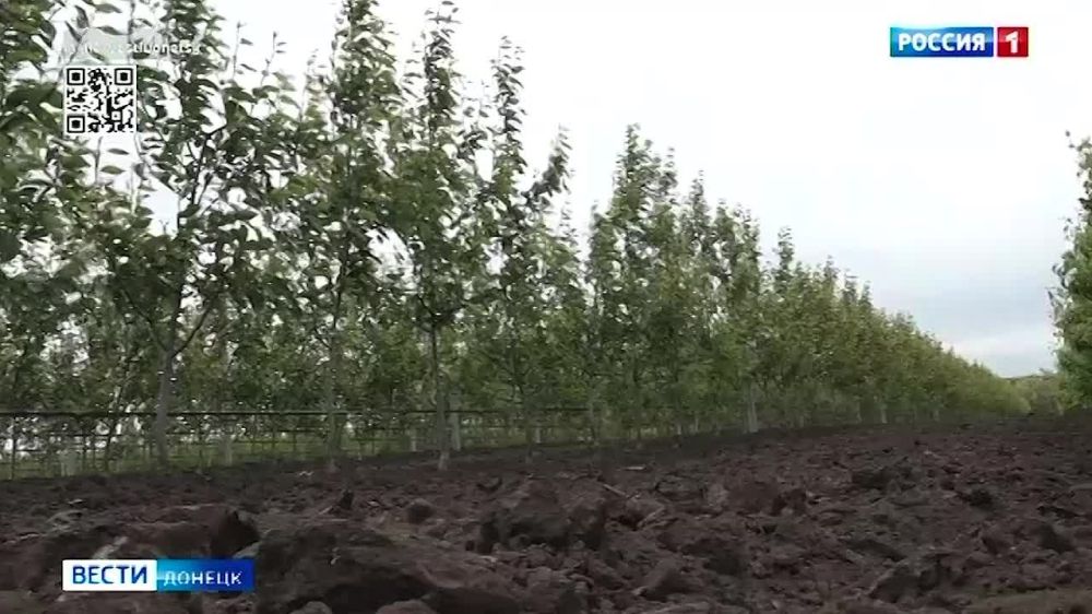 �������������� ���������� ������� � �������� �������� ����������