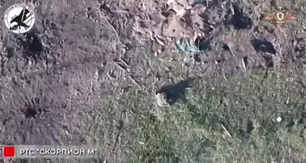 ������� �������: ������� ����� "�������� �" ��������� ���������� ���������� �������� ��� ��������������