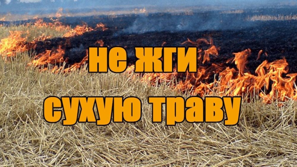 ����� �����: ��� ����� �������������� � ������: ��������� � ���������������