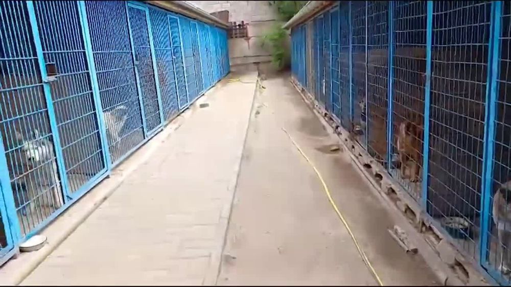 ������ �������: �������� ����� 4 ����� ��������� � ������!