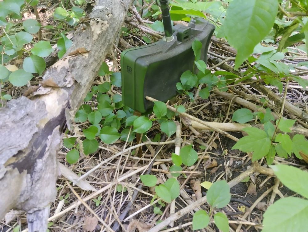 � ���� ��. �������� ���� ������ �������